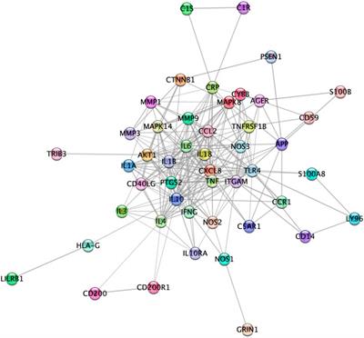 A Computational Exploration of the Molecular Network Associated to Neuroinflammation in Alzheimer’s Disease